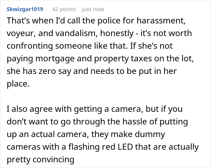 Screenshot of a user comment discussing homeowner and entitled neighbor fence dispute and options for security cameras.