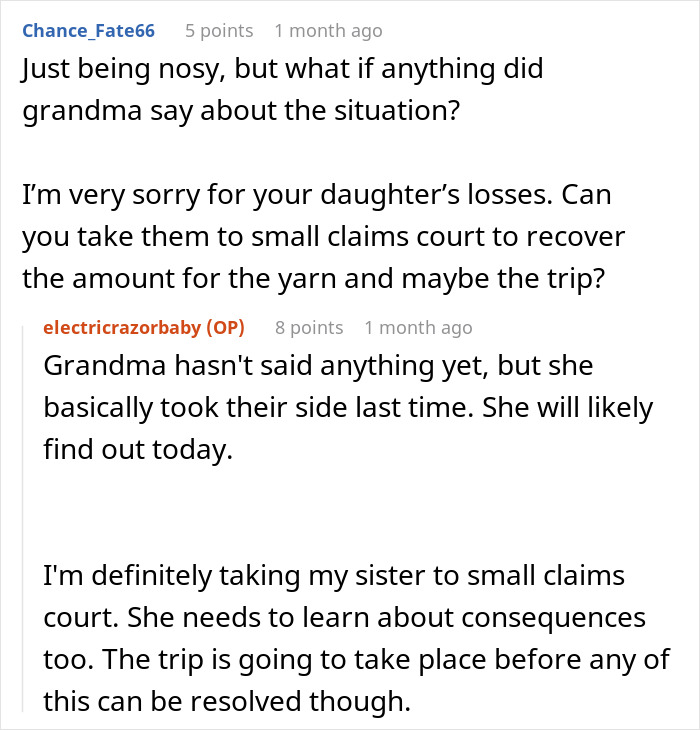 Reddit user discusses widow's excuses for grieving son after sister burns her kid's bag, mentioning small claims court action. Reddit user discusses widow's excuses for grieving son after sister burns her kid's bag, mentioning small claims court action.