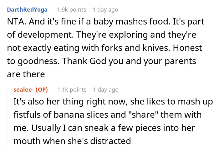 Screenshot of a Reddit conversation about a 19-year-old caring for sister’s kid and food feeding criticism. Screenshot of a Reddit conversation about a 19-year-old caring for sister’s kid and food feeding criticism.