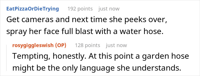 Comments discussing using a water hose to deter an entitled neighbor from looking over the fence.
