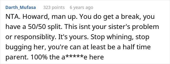 Screenshot of a Reddit comment discussing a guy accusing his sister of being a stranger to his kids over childcare duties. Screenshot of a Reddit comment discussing a guy accusing his sister of being a stranger to his kids over childcare duties.