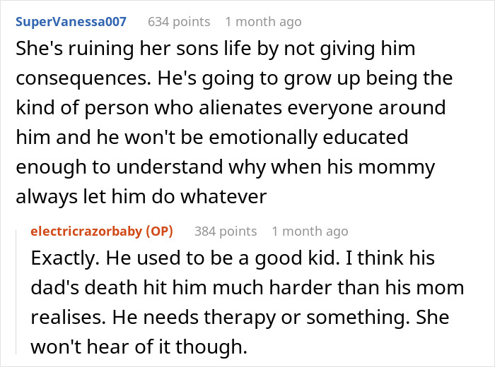 Screenshot of a comment thread discussing a grieving son, his mother's excuses, and sister burning the kid's bag. Screenshot of a comment thread discussing a grieving son, his mother's excuses, and sister burning the kid's bag.