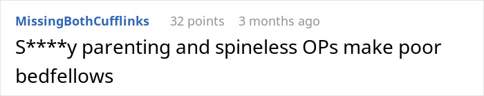 Screenshot of an online comment discussing issues with parenting and childfree event decisions after dealing with rowdy kids Screenshot of an online comment discussing issues with parenting and childfree event decisions after dealing with rowdy kids