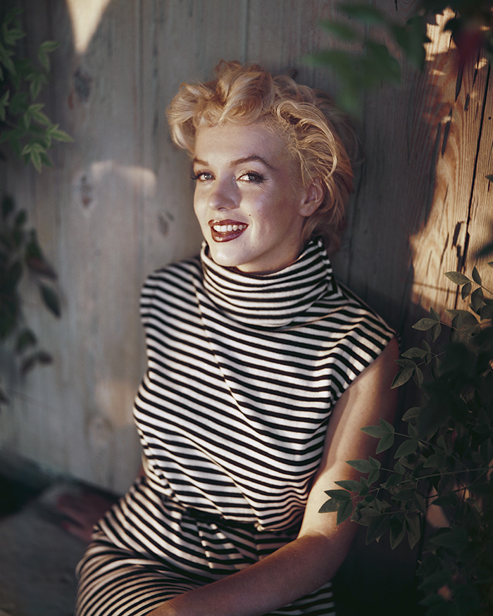 Marilyn Monroe smiling in a striped dress, sitting against a wooden wall surrounded by green leaves in soft sunlight. Marilyn Monroe smiling in a striped dress, sitting against a wooden wall surrounded by green leaves in soft sunlight.