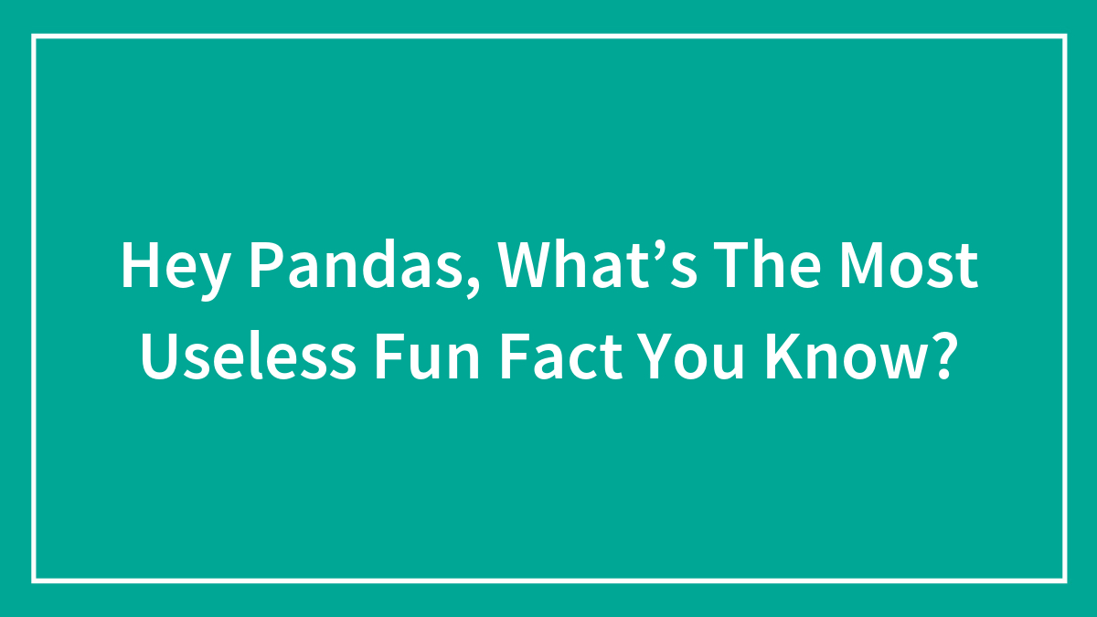 Teal background with white text asking pandas about the most useless fun fact they know, framed by a thin white border.