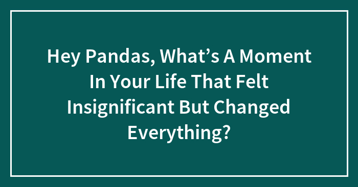 Hey Pandas, What’s A Moment In Your Life That Felt Insignificant But Changed Everything? (Closed)