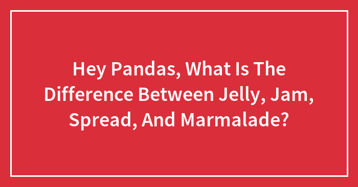Hey Pandas, What Is The Difference Between Jelly, Jam, Spread, And Marmalade? (Closed)