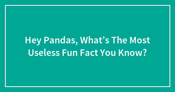 Hey Pandas, What’s The Most Useless Fun Fact You Know? (Closed)
