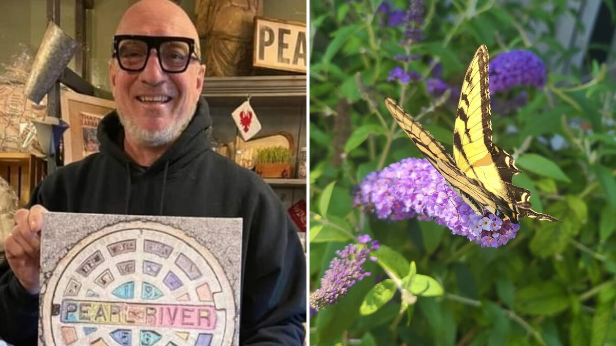 Andrew Ward holding art beside a close-up of a butterfly on purple flowers, capturing moments we forget to see.