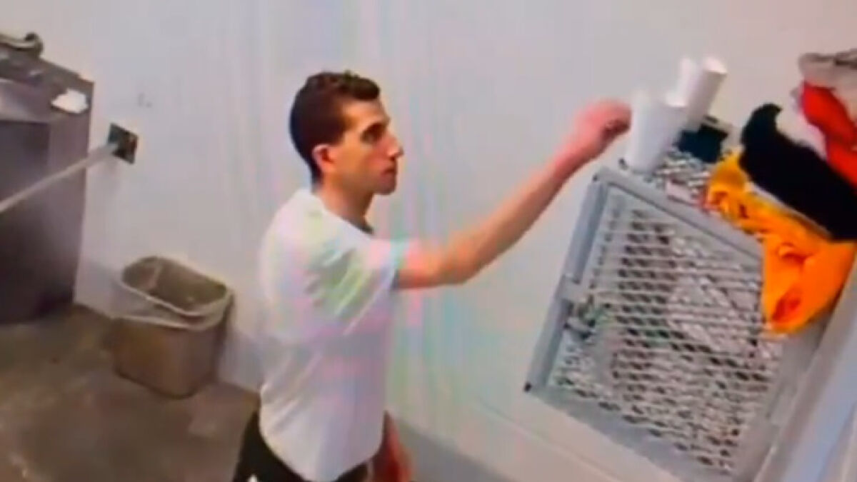 Bryan Kohberger in jail cell reaching for items on metal shelf with red hands visible in chilling footage.