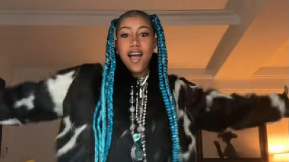 Teen with long blue braids wearing a black and white jacket, engaging on children's social media platforms targeted by predators.