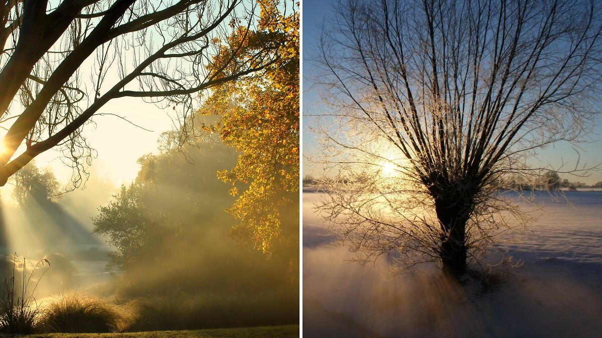 Sunrise casting golden light through autumn and frosty winter trees in serene natural landscapes.