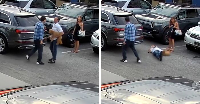 Uber Driver Brutally Knocks Out CEO With Service Dog In Shocking Video—Passenger’s Account Got Suspended