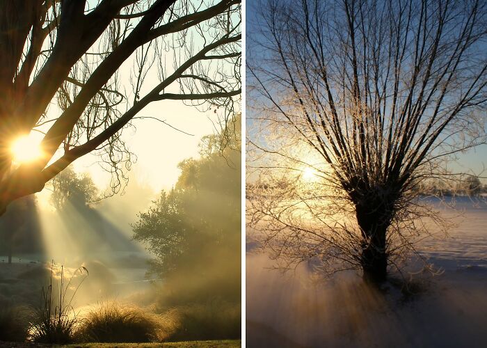 Hey Pandas, Post Your Pictures Of Sunrise