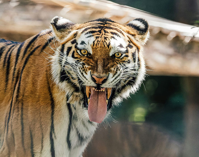 People Share 43 Stories Of When They Visited A Place That Made Them Nope Out Immediately 