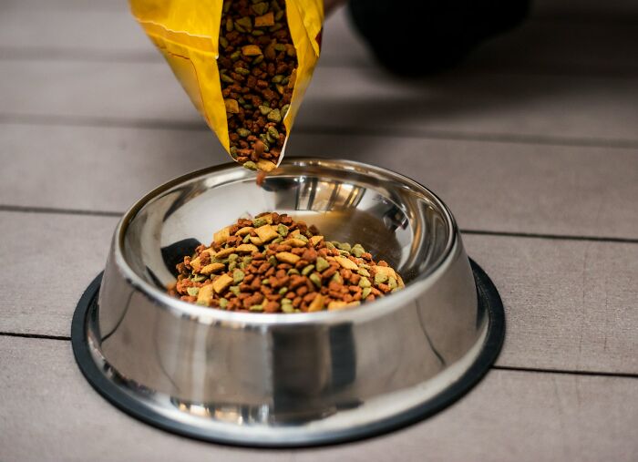 Pet food being poured from a yellow bag into a stainless steel bowl, highlighting unexpected wedding registry items.