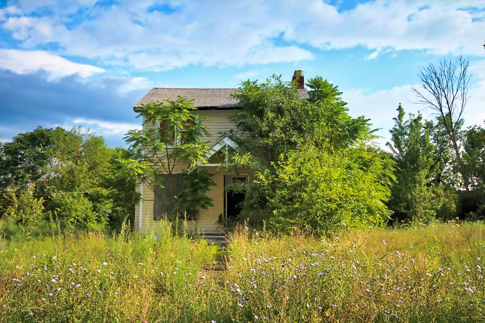 Abandoned overgrown house with broken windows, illustrating gross and unexpected things witnessed in strangers’ homes.