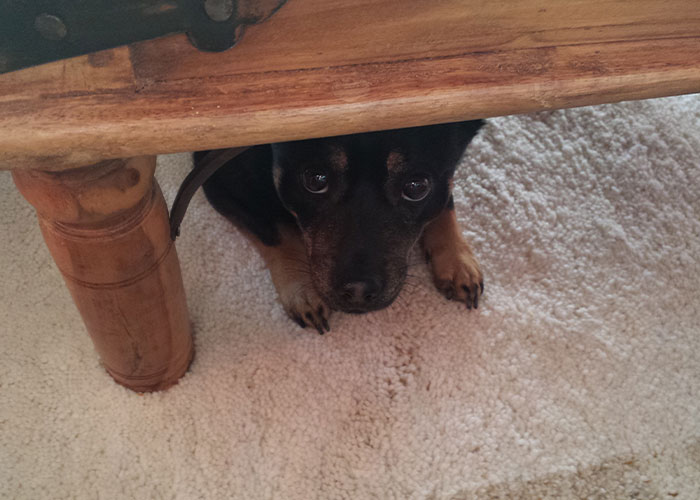 "Cheated On Her With Her Aunt": 44 Times People Couldn't Believe What They Found Out About Friends