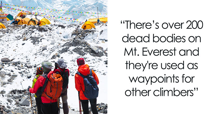 People Who Were Traumatized After Learning These 39 Facts Shared Them In This Online Thread