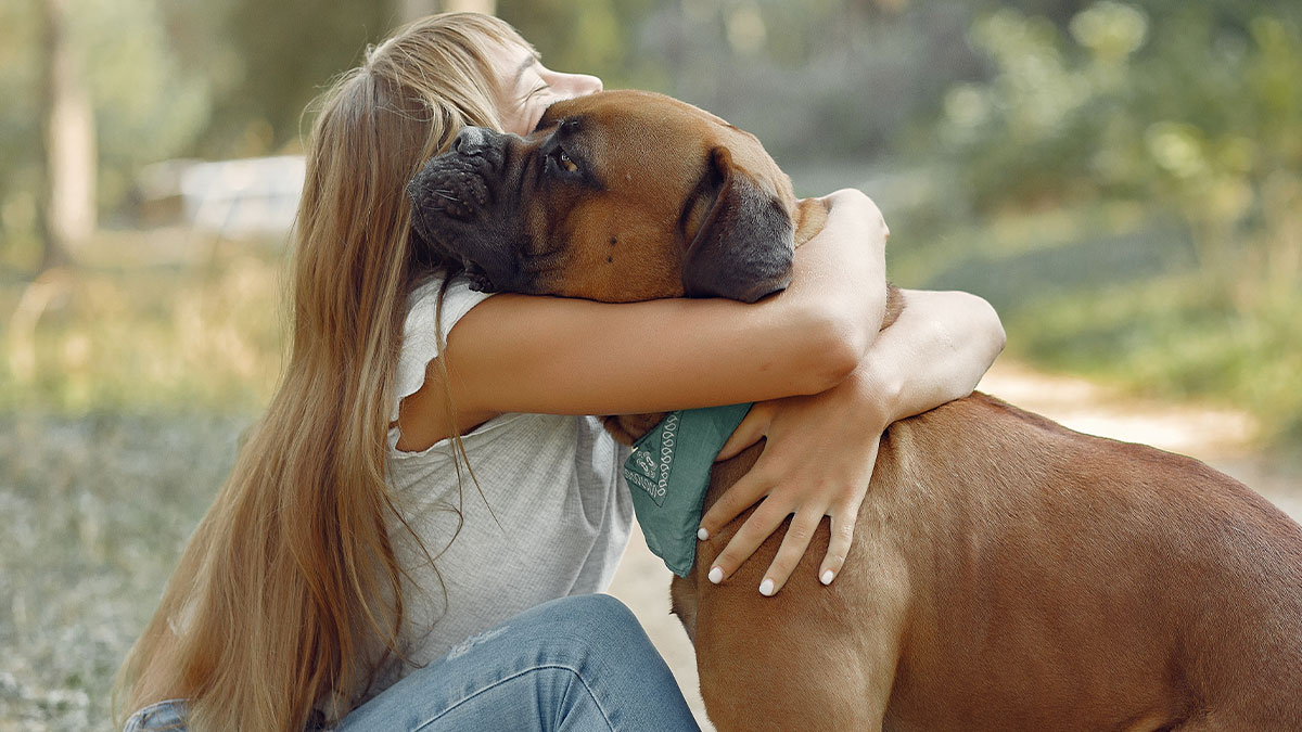 Young girl hugging a large dog outdoors, highlighting a dog attack incident and concerns about being too dangerous around kids.