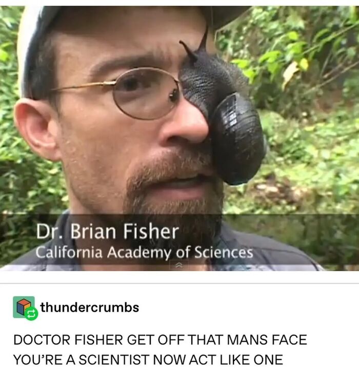 Oh Dr. Fisher