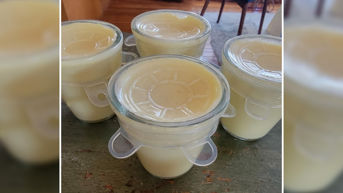 Four glass jars with silicone stretch lids filled with creamy homemade pudding, showcasing genius gadgets for daily kitchen use.