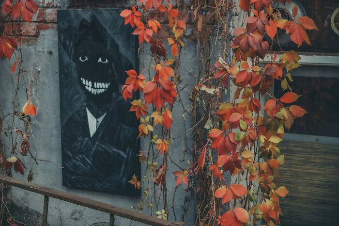 Creepy mural with a grinning figure on a wall covered by autumn vines, reflecting gross and unexpected stranger home sights.