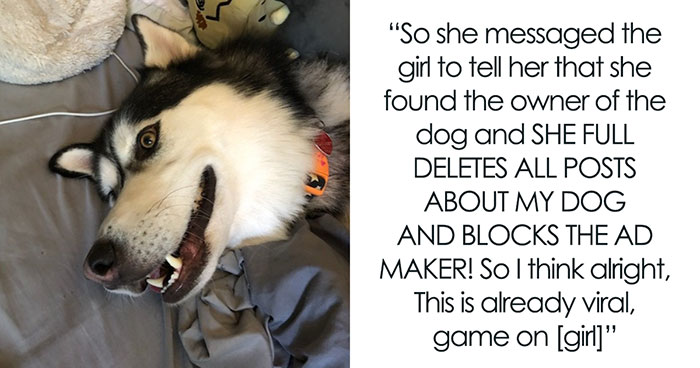 Lady Loses It When Stranger “Finds” Her Husky And Refuses To Return It, Gets Epic Revenge