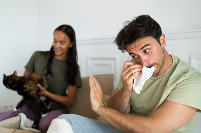 Fiancée Left Shocked After Guy Demands Her 4 Senior Cats Be Rehomed Before Wedding Fiancée Left Shocked After Guy Demands Her 4 Senior Cats Be Rehomed Before Wedding