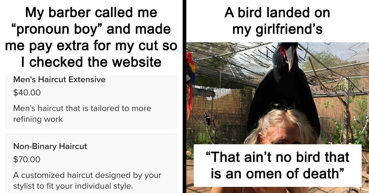 80 Funny Memes That Are Kinda Weird Too | Bored Panda