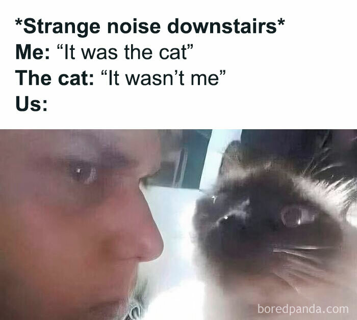 Man and cat staring intensely at each other in a funny creepy meme for people who love black humor.