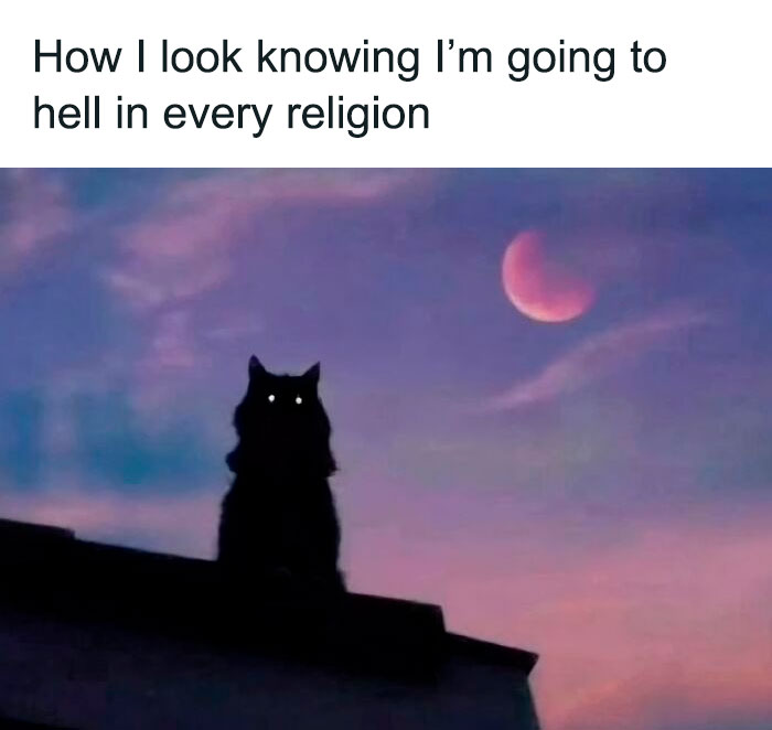 Black cat with glowing eyes under a red moon at dusk, representing creepy but funny humor memes in a dark setting.