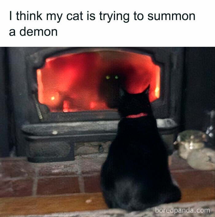 Black cat staring into fireplace with glowing eyes, humorously captioned about summoning a demon in creepy funny meme.