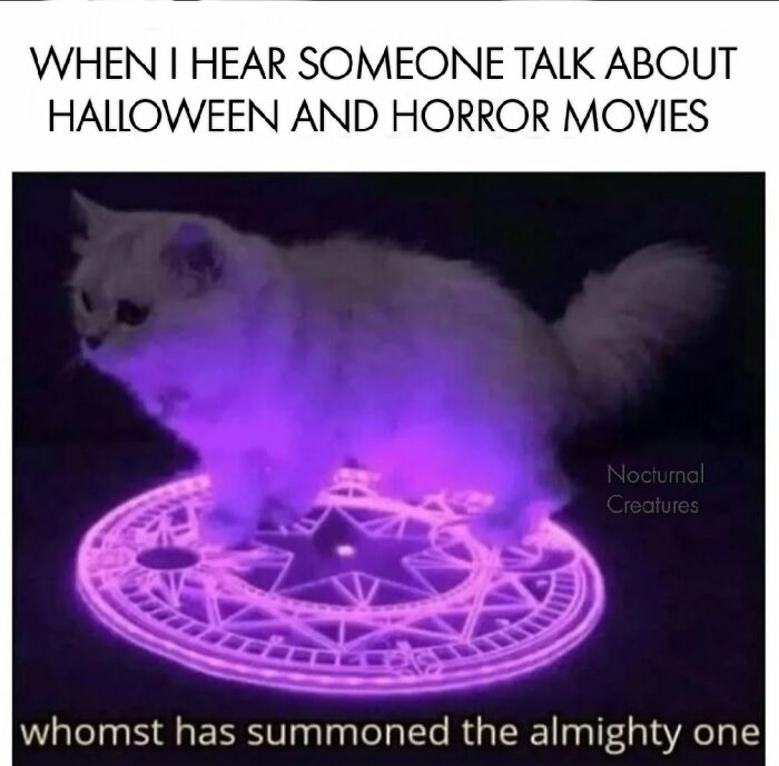 Cat standing on glowing purple summoning circle meme referencing Halloween and horror movies, creepy but funny humor.
