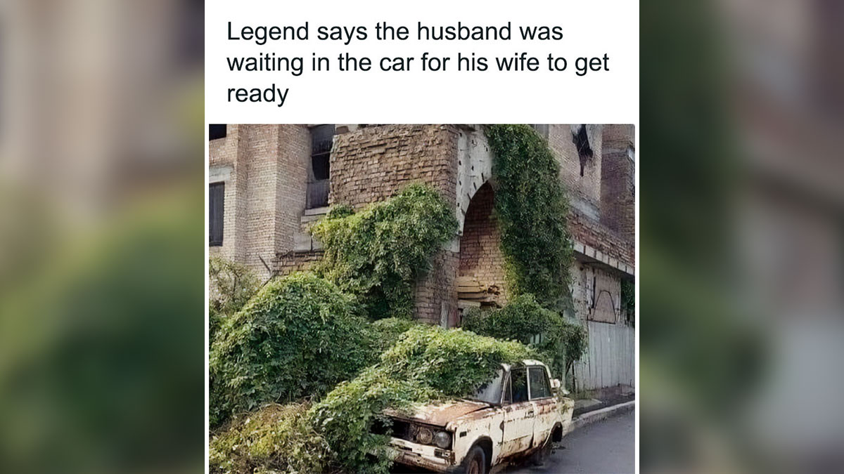 Old car covered in vines with text about a husband waiting in the car, funny chaotic marriage meme concept.