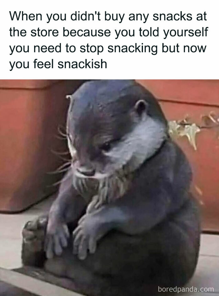 Sad otter sitting with a caption about feeling snackish after not buying snacks, a hilarious meme for good vibes.