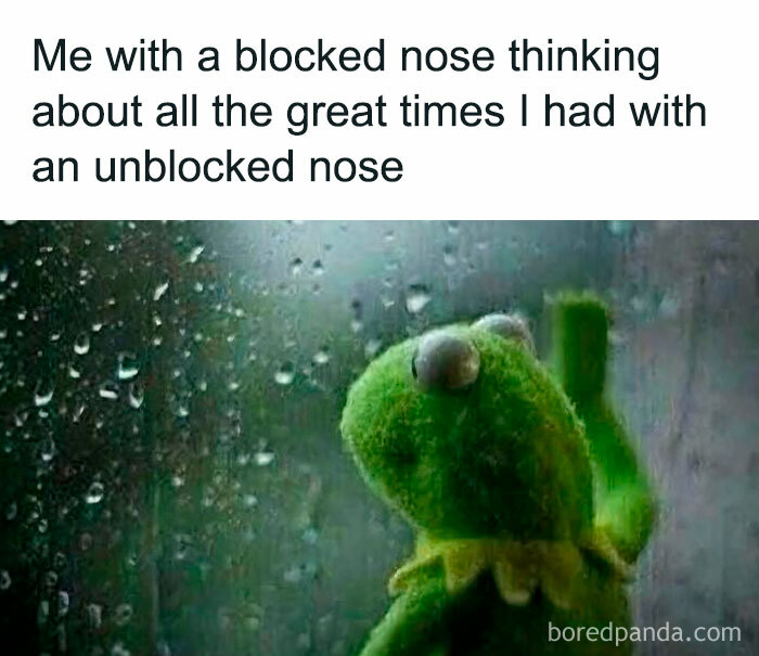 Kermit the Frog looking sadly out a rainy window, reflecting on blocked nose moments in hilarious memes.