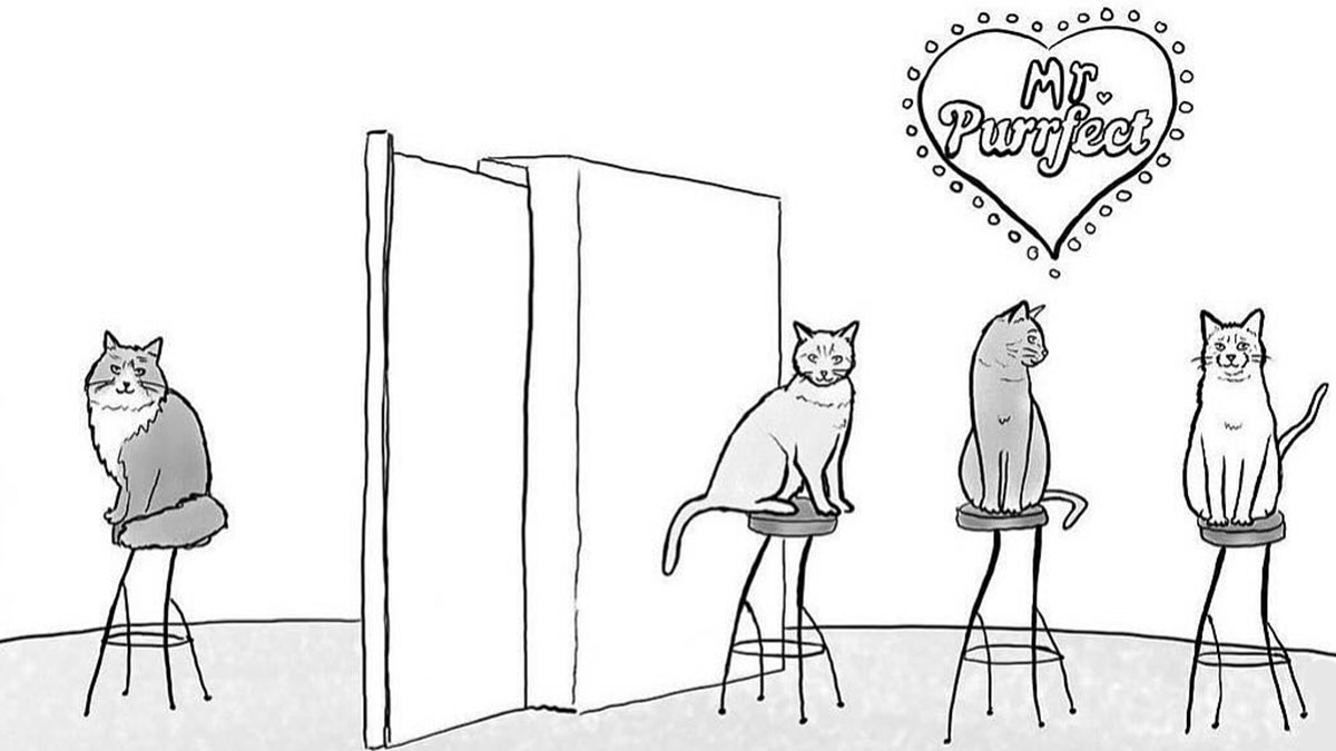 One-panel comic showing four cats on stools with a heart-shaped sign reading Mr Purrfect above them.