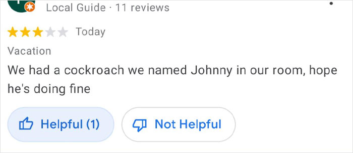 Funny product and service review by a local guide mentioning a named cockroach during a vacation stay.