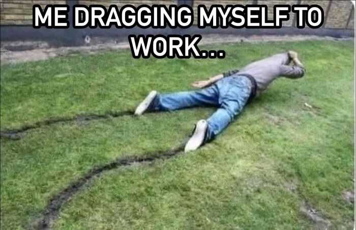 Person lying face down on grass with text about dragging themselves to work, illustrating work memes humorously.