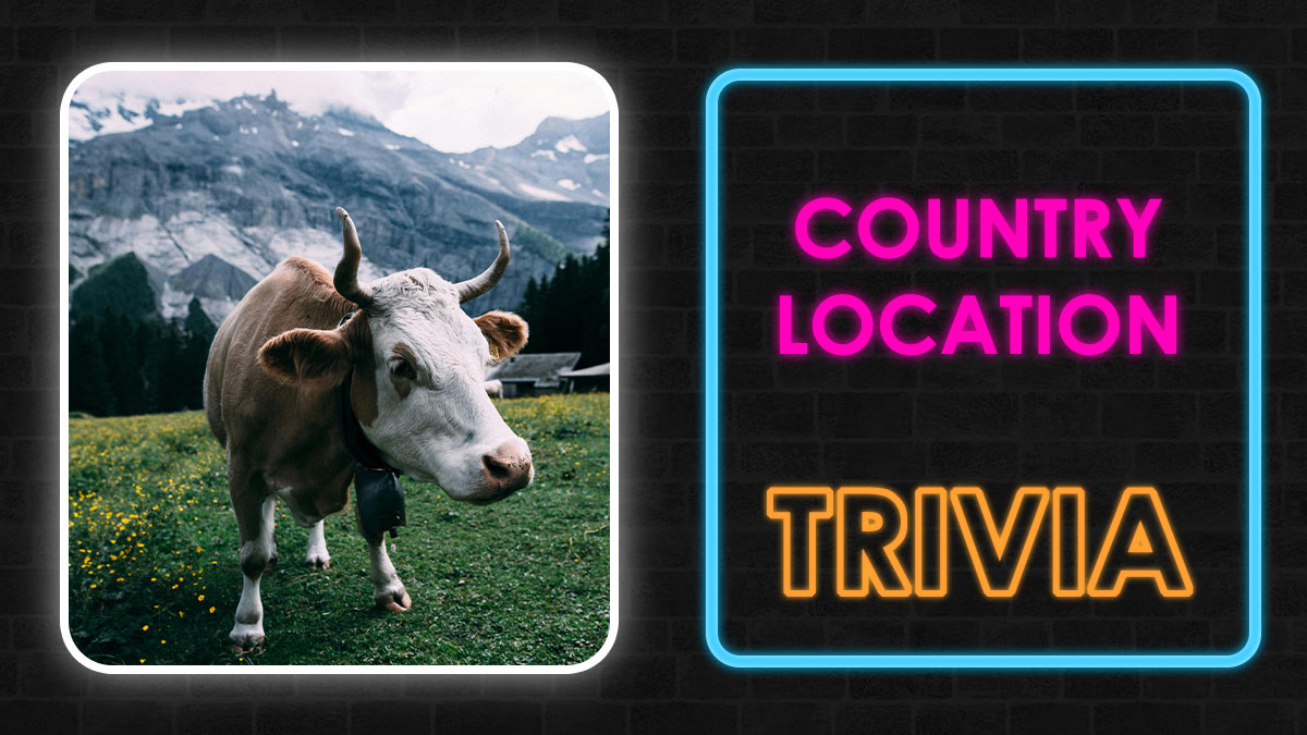 Brown and white cow in mountainous meadow next to neon sign reading country location trivia in bright colors.