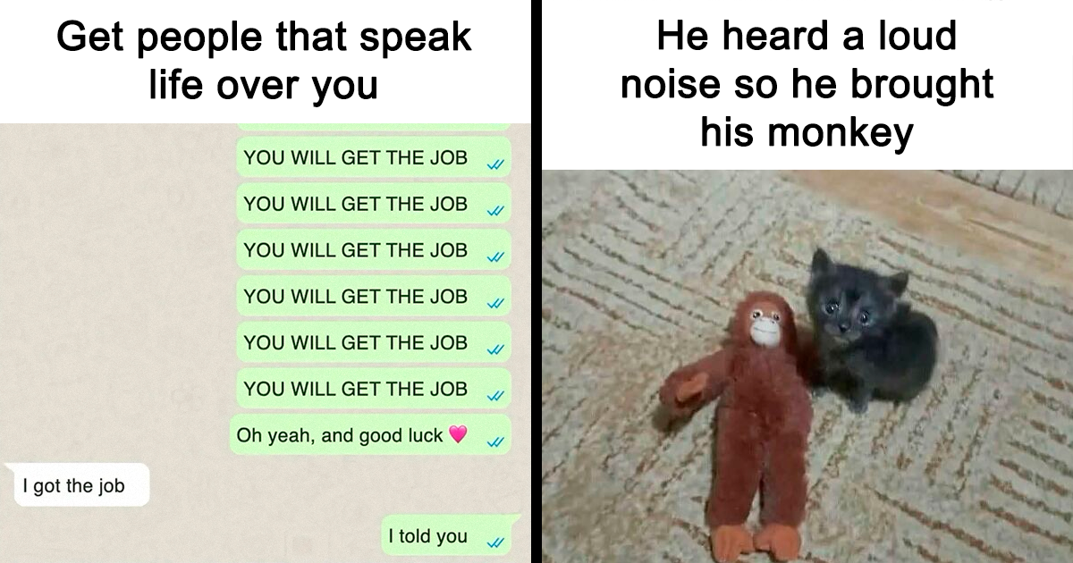 Importunity Meme 90 Introvert-Worthy Memes That Are As Funny As They Are Accurate ...