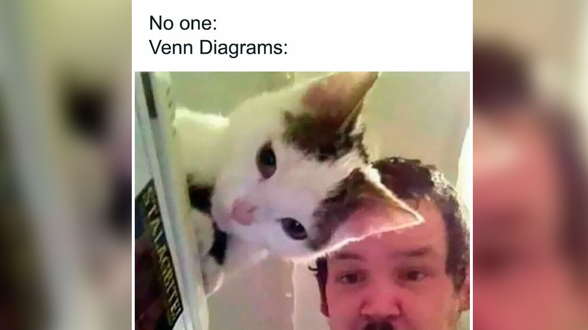 Cat and man peeking from different angles illustrating a humorous take on science memes with Venn diagrams.