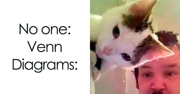 50 Funny Memes If You Like All Kinds Of Science