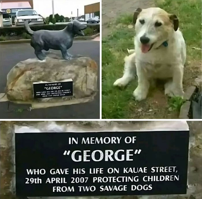 Memorial statue and plaque honoring a heroic dog named George, featured in historical photos about pets.