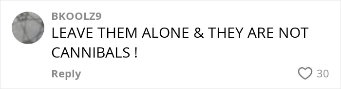 Comment expressing defense of indigenous tribe amid influencer viral TikTok stunt outrage, emphasizing respect and cultural sensitivity. Comment expressing defense of indigenous tribe amid influencer viral TikTok stunt outrage, emphasizing respect and cultural sensitivity.