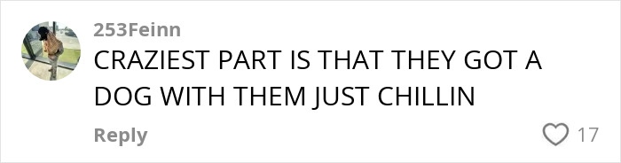 Comment on social media post expressing amazement about a dog chilling with an indigenous tribe, related to influencer TikTok stunt controversy. Comment on social media post expressing amazement about a dog chilling with an indigenous tribe, related to influencer TikTok stunt controversy.