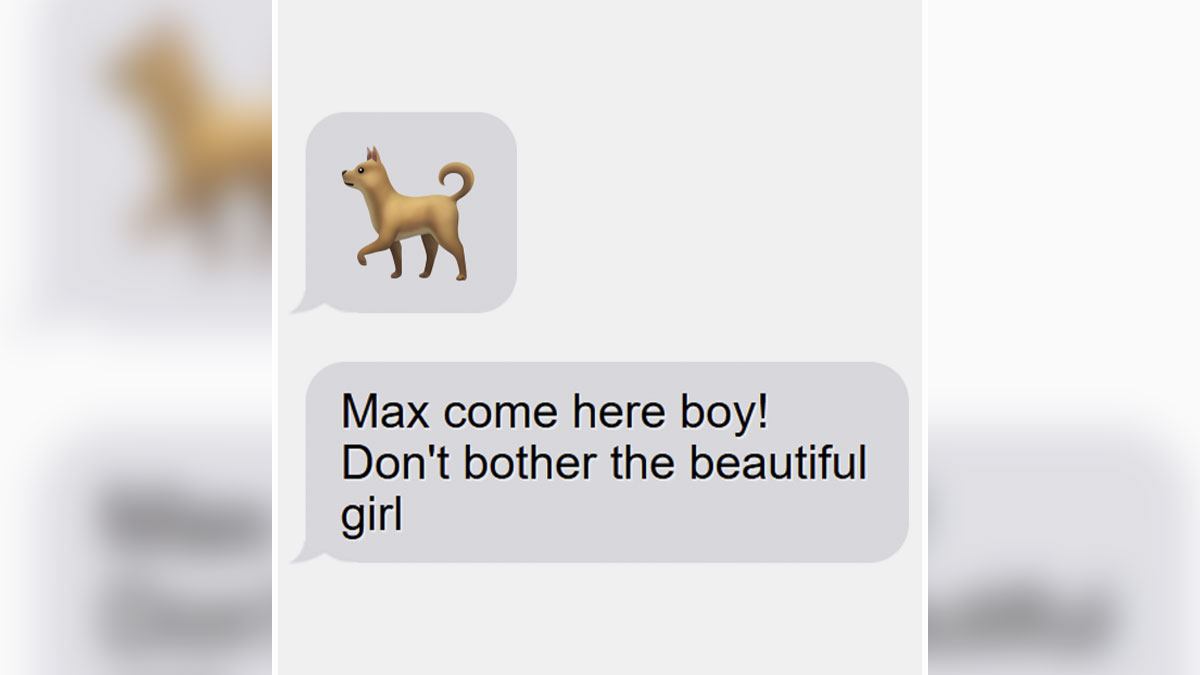 Text message screenshot showing cringy men hitting on a woman with a dog emoji and possessive comment.