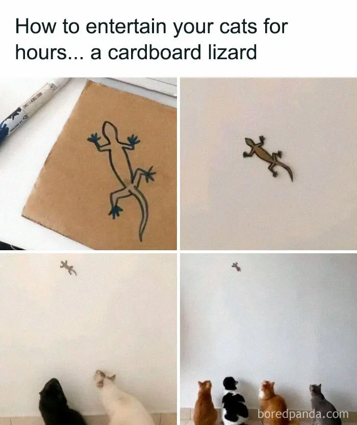 Four images showing a cardboard lizard craft entertaining cats, demonstrating ingenious crafty ideas for pet amusement.