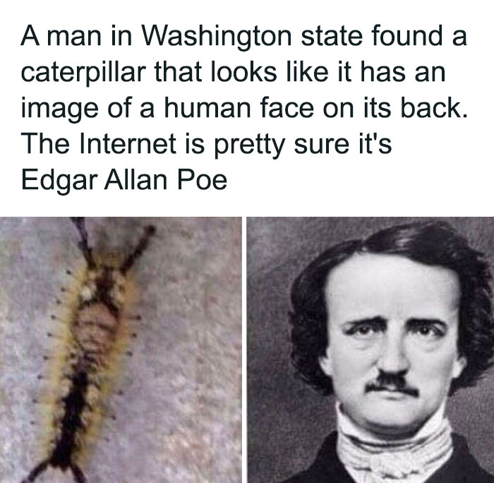 Caterpillar with a human face image on its back resembling Edgar Allan Poe, a creepy fact for sleep deprivation.